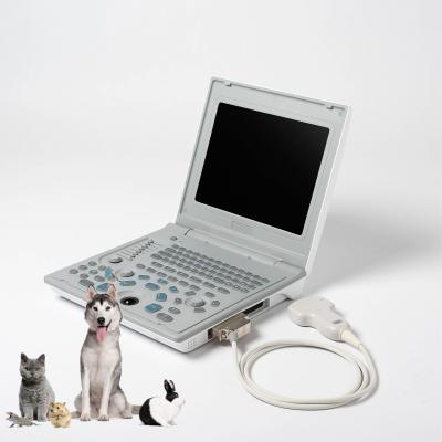 China Hospital Outside Diagnostic Linear Ultrasound Machine Dog Ultrasound Machine Laptop Cow Pregnancy Sheep Scanner for sale