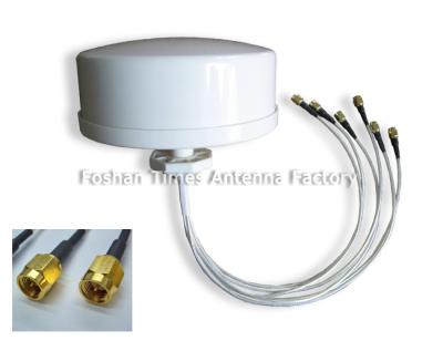 China Antena dupla de Omni Mimo da faixa, conector personalizado da antena Omnidirectional de Mimo à venda