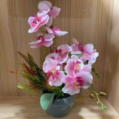 China Eco-friendly Home Decoration Real Touch Orchid Flower Artificial Plant With Ceramic Pot for sale