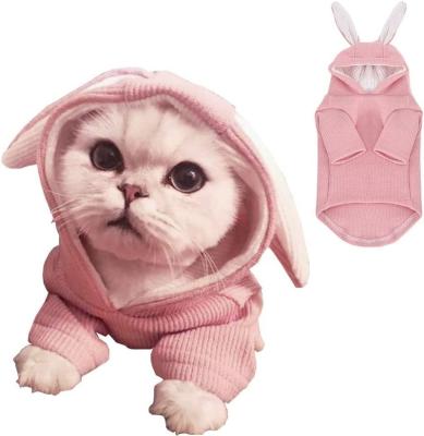 China Pet Stocked Cat Rabbit Outfit with Bunny Ears Sweatshirt Spring and Autumn Puppy Knitted Sweater Kitty Soft Knits for sale