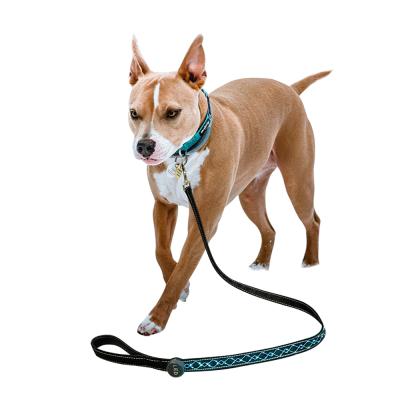 China High Quality Nylon Lights Ribbon Usb Fill Led Dog Leash for sale