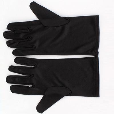 China Watch Jewelry Glasses Personalized Jewelry Black Microfiber Cloth Gloves for sale