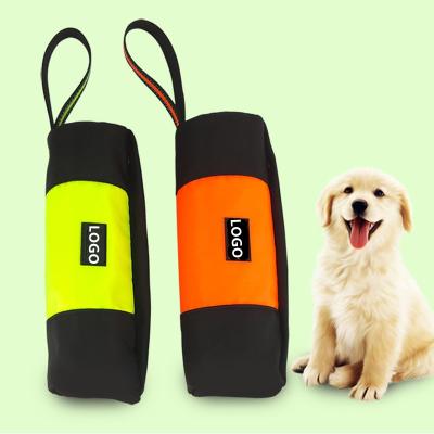 China High Quality Capacity Durable Waterproof Pet Training Dog Treat Bag Portable Food Pouch Viable for sale