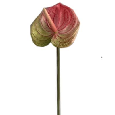 China Hot Selling Tape Real Artificial Anthurium Plastic Flowers Real Touch For Wedding Party Decoration Flower for sale