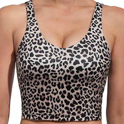 China QUICK DRY NEW Leopard's Current Listing Women Gym Workout Tank Top Sports Bra for sale