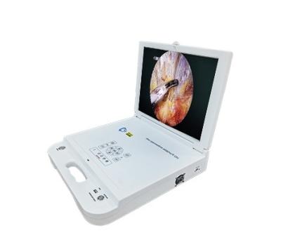 China Portable ENT Laparoscopy Machine Ear Ear Diagnostic Veterinary For Veterinary Pet Surgery for sale