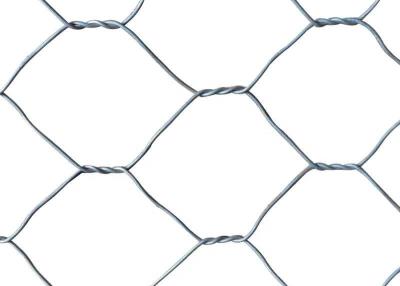 China 19mm Gevogeltedraad Mesh Fence, 50mm de Draad van de Gatenhexuitdraai het Schermen Te koop