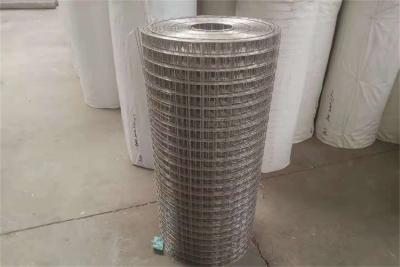 China Malla de alambre soldada con autógena de acero inoxidable de la pulgada 0.6m m de la pulgada X1/2 del 1/2 en venta