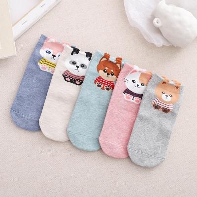 China Dog Bear Cat Panda Graphic Cartoon Cotton Women QUICK DRY Animal Stockings Cut Out Cute Ankle Socks for sale