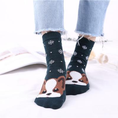 China Chihuahua Maltese Dog Maltese Dog Cartoon Women Cotton Quarter Crew Cute Animal Fuzzy Socks QUICK DRY for sale