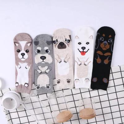 China Cute QUICK DRY Cute Dog Schnauzer Pug Dachshund Chihuahua Cartoon Women Cotton Quarter Crew Animal Socks for sale