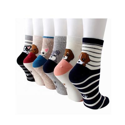 China Antibacterial Cute Animal Color Dog Print Cotton Cartoon Striped Socks For Women Girls for sale