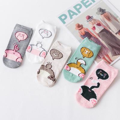 China Wholesale Summer Japanese Style Antibacterial Cute Animal Cartoon Fresh Short Stockings Ankle Socks For Women for sale