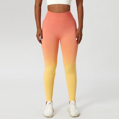 China Breathable women's multi-tiered stretch compression butt crack! crack! Ombre Fitness Seamless Leggings for sale