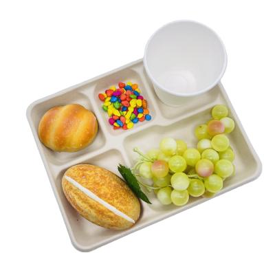 China Factory Price Rectangle Waterproof Sugar Cane Bagasse Tray Lunch 5 Compartment Trays With PET Bagasse Lid for sale