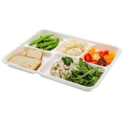 China Bagasse Sugarcane Food Tray With 5 Compartments Waterproof Disposable Compostable Food Dish With Divisions for sale