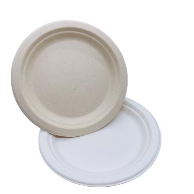 China Disposable Disposable Biodegradable Disposable Sugarcane Bagasse Paper Pulp Mold Dish for sale