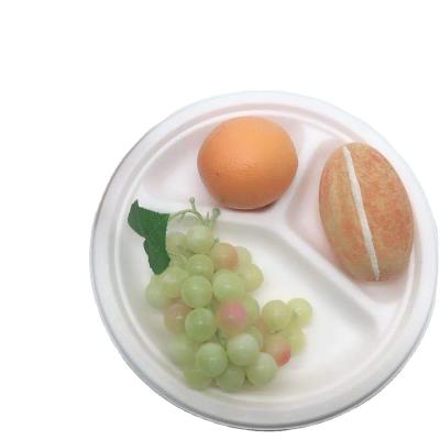 China waterproof & Oil-proof Eco-friendly Bagasse Disposable Dishes Set Biodegradable Compostable Sugar Cane Pulp Food Dishes for sale