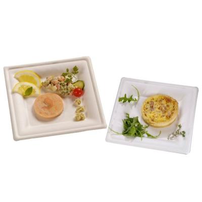 China Ebei Disposable Customized 100% Bagasse Square 6inch Bagasse Plate Biodegradable Tableware for sale