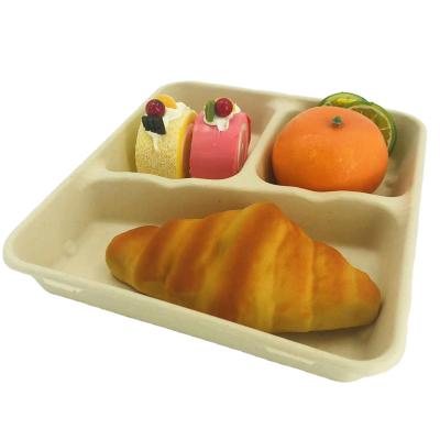 China Factory direct supply biodegradable sugar cane bagasse food tray bagasse 3 compartment compostable tray with lid for sale