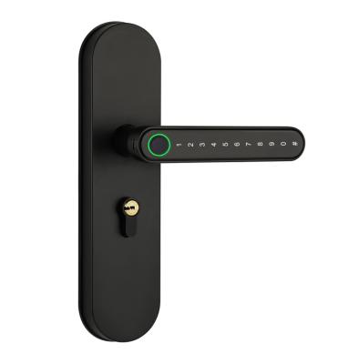 China Modern Factory Cheap Price Electronic Biometric Door Lock / Smart Digital Fingerprint for sale