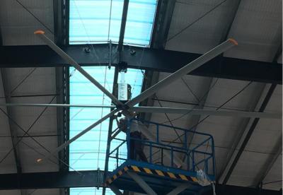 Cina Sesta lama ventilatore elettrico di grandi dimensioni in vendita
