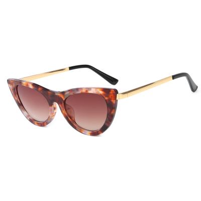 China Women UV400 Cat Eye Sunglasses Superhot Eyewear 2019 Fashion Sunglasses for sale