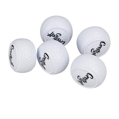 China Practice Putter Two Layer Practice Field Balls Golf Ballen Balls Flat Shape Golf Practice Balls for sale