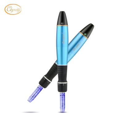 China Skin Revitalizer New Arrival Derma Pen MR-012A Tattoo Product for sale