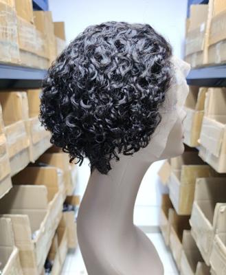 China As Picture Product Natural Hair Pixie Wigs Best Wigs Human Hair Lace Front Wigs Hot Front Vendor Short Curly Lace Wig for sale