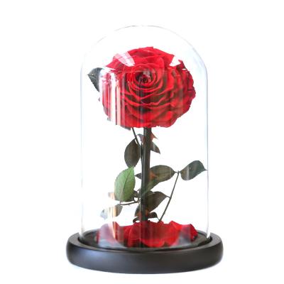 China Gift Eternal Life To Spend Forever Preserved Flower CoverRose Flower Glass Gift Box for sale