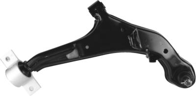 China Nissan Control Arm Low Down 54500-2Y411	54501-2Y411 CEFIRO	A33 for sale