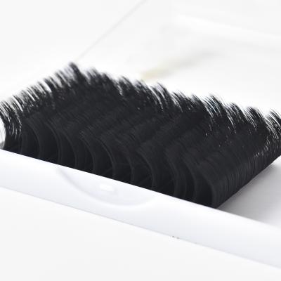 China Lash Extensions High Quality Individual Classic Thick Wholesale Eyelash Volume Eyelash Extension Supplier for sale