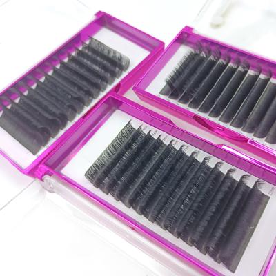 China Natural Soft Mink Eyelash Extension Adhesive Eyelash Extension Adhesive Private Label for sale