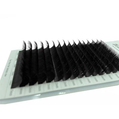 China Luxury Easy Dual Density L Fan C Long Tray 8-25mm Mixed Natural Curl Eyelash Extensions Huge Different M for sale