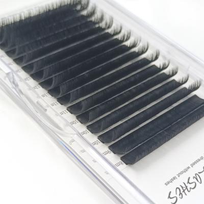 China Natural Soft Easy Volume Fan Fan Trays Mink Fan Volume Eyelash Extension Soft Easy Lashes for sale