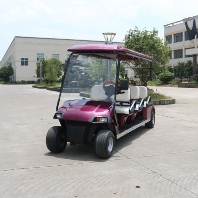 China 6 Passenger Electric Sightseeing Bus Golf Cart With 205/50-10 Brushless Motor for sale