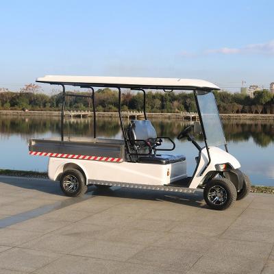 China Custom 4 Person Motorized 2 Wheel Golf Carts With Cargo Box 205/50-10 for sale