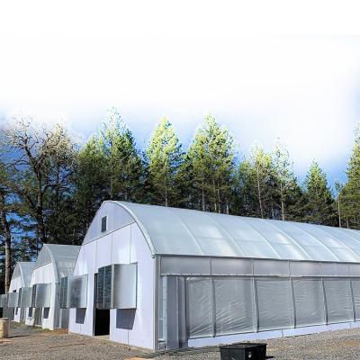 China Manufacturers export practical and customizable plastic multi-span garden greenhouses for sale