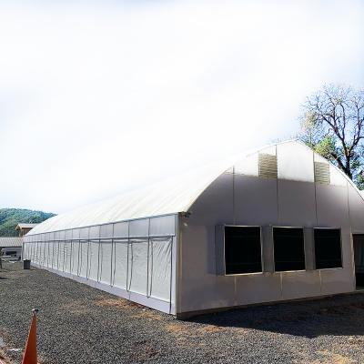 China Manufacturers export practical and customizable plastic glass multi-span greenhouse for sale