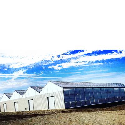 China Agricultural greenhouse plastic film constant temperature multi-span greenhouse for sale