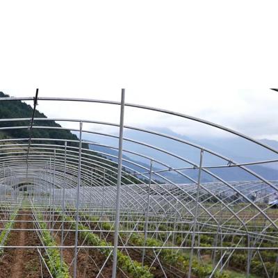 China Luxury winter covered mushroom solar glass multi-span greenhouse frame for sale