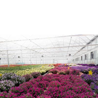 China Frame insulation material for green multi-span vegetable greenhouse for sale