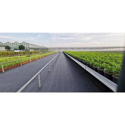 China Cheap Smart Agricultural Solar Glass Hydroponic Greenhouse for sale