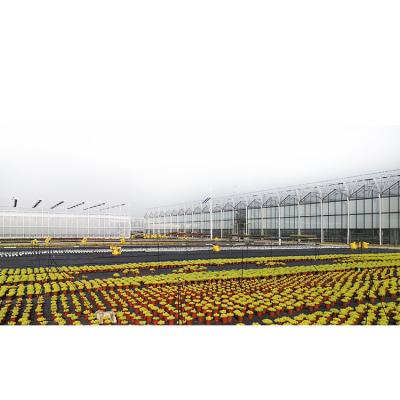 China Hot sale aluminum frame roof glass garden modern other greenhouse for sale