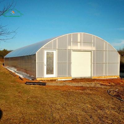 China Tunnel greenhouse hot sales garden plastic vegetable tunnel greenhouse made in china for sale