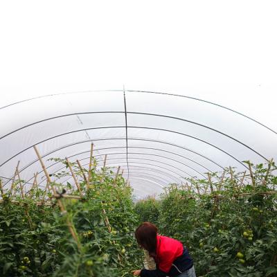 China Factory wholesale high-strength transparent vegetable polyethylene tunnel greenhouse for sale