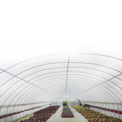 China New high-quality agricultural film greenhouse flower plant tunnel greenhouse for sale