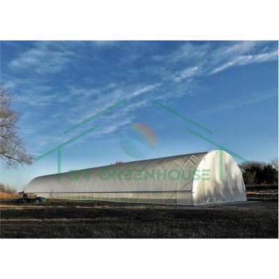 China Galvanized Steel Pipe Frame Single Span PE Film Cover Tunnel Greenhouse for sale