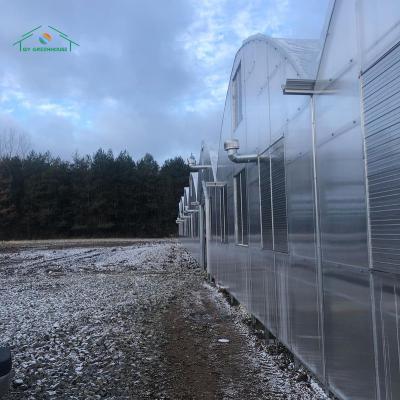 China Hot Sale Gutter Connected Light Deprivation Greenhouse and Its Equipment Blackout Greenhouse Herbs growing for sale